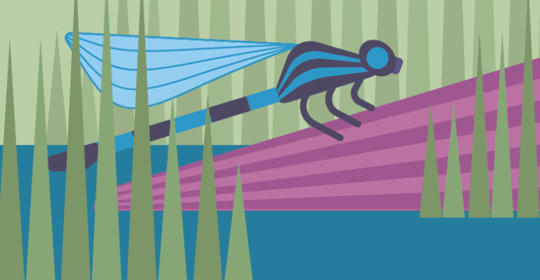 Illustration einer blauen Libelle, die in der Uferbepflanzung eines Gewässers sitzt