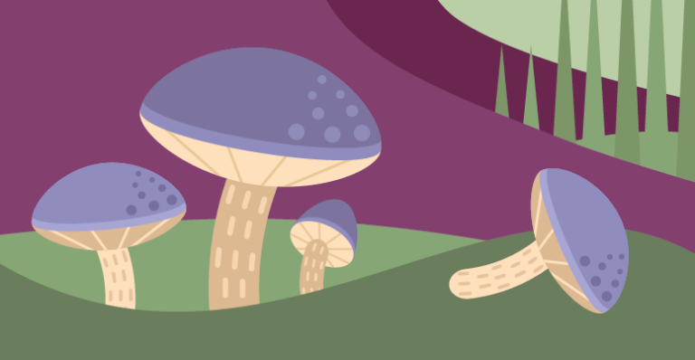 Illustration von vier Pilzen mit violetter Kappe vor einem Baumstumpf