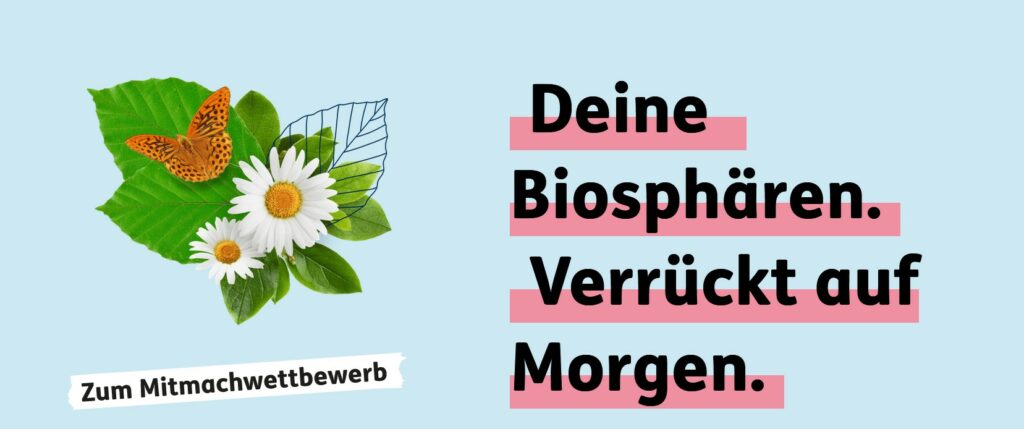 Verrückt auf Morgen Mittmachwettbewerb