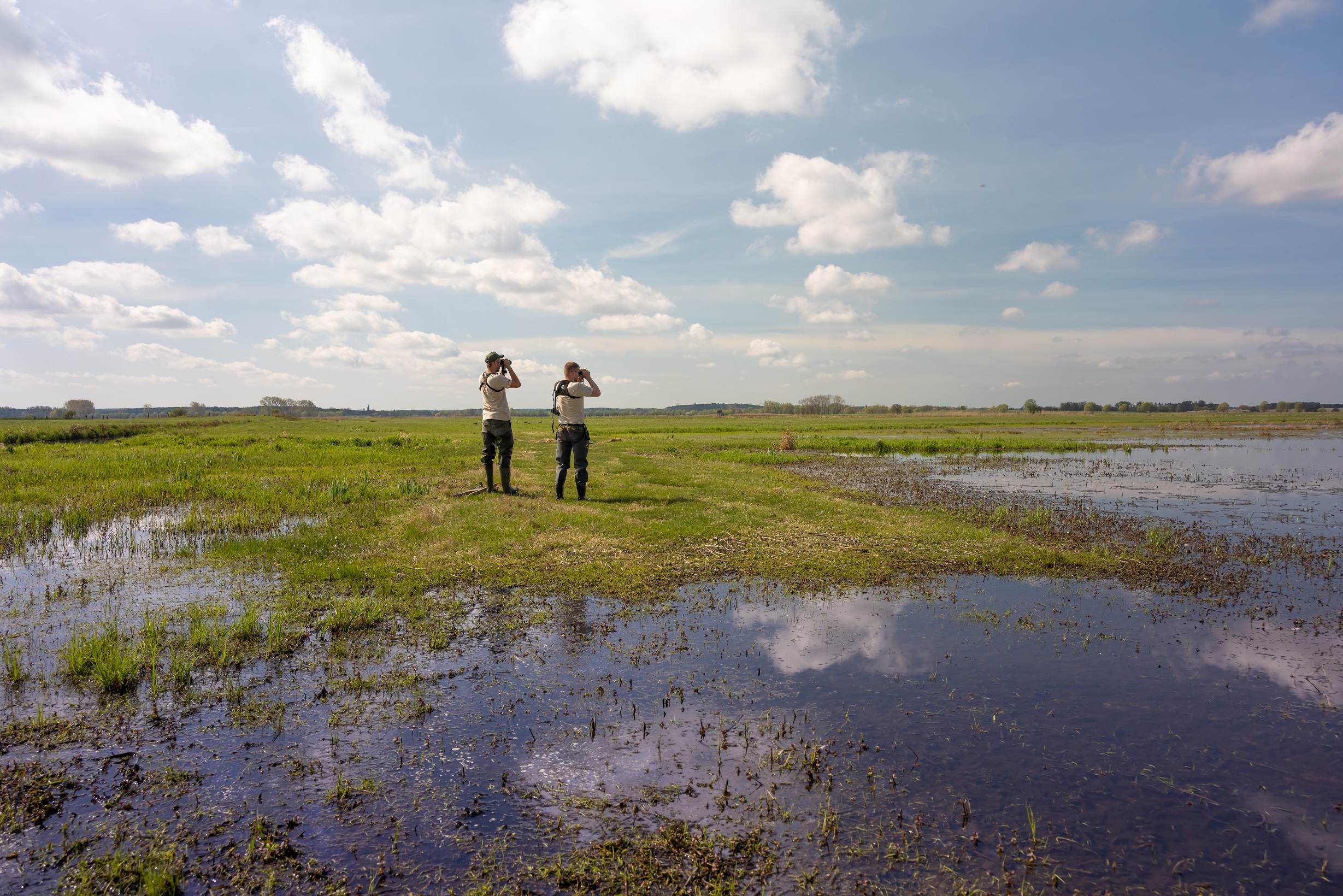 Weite Landschaft mit Wiese und Flachwasser sowie zwei Rangern, die durch Ferngläser schauen