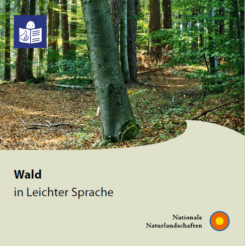Titelblatt der Broschüre "Wald in Leichter Sprache"