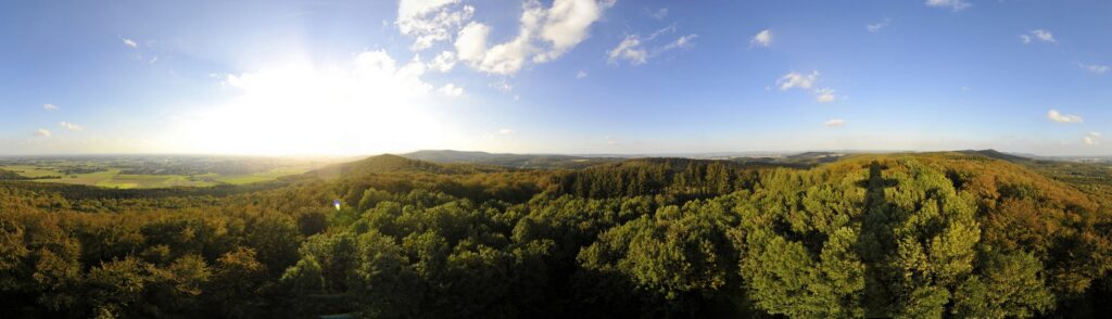 Ein Panoramablick über einen Wald.