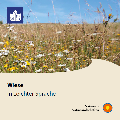 Titelblatt der Broschüre "Wiese in Leichter Sprache"