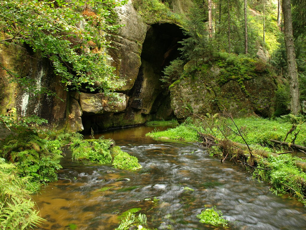 Slide image