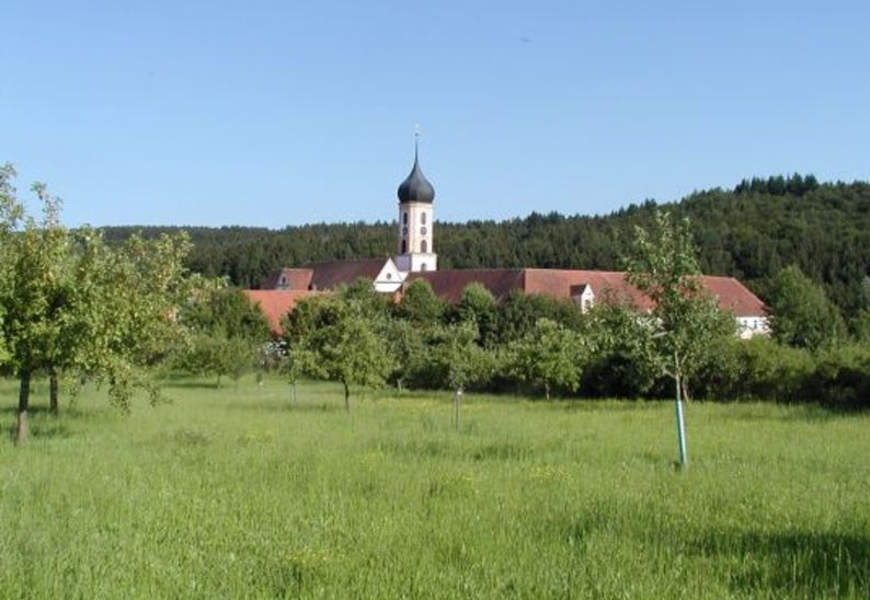 Kirche St. Martin in Horgau an einer Wiese mit Bäumen