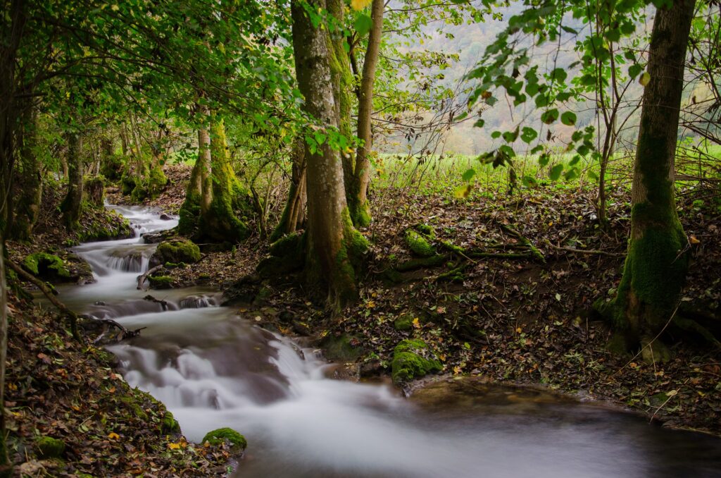 Ein Bach fließt zwischen Laubbäumen entlang und bildet immer wieder kleinste Wasserfälle. Das Foto ist eine Langzeitbelichtung, daher ist das Wasser sehr weichgezeichnet.
