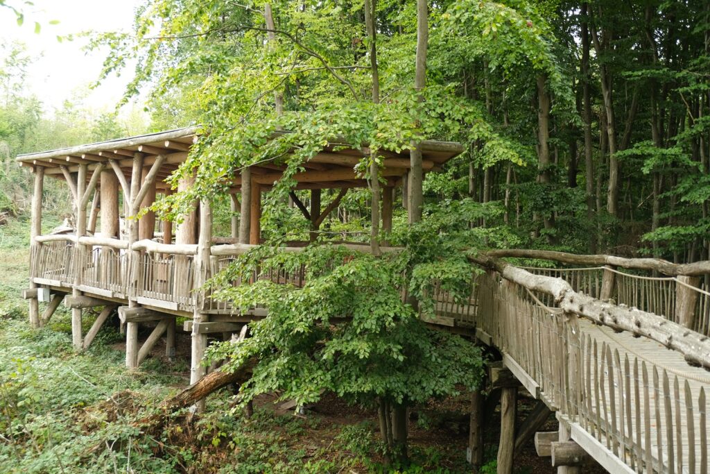 Barrierefrei Natur erleben