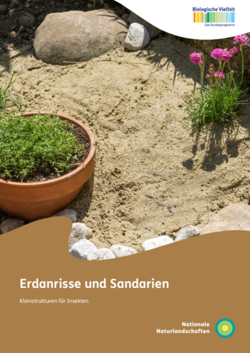 Titelblatt der Broschüre "Erdanrisse und Sandarien. Kleinstrukturen für Insekten"
