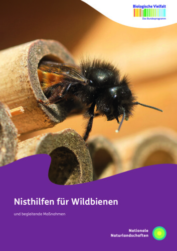 Titelblatt der Broschüre "Nisthilfen für Wildbienen und begleitende Maßnahmen"