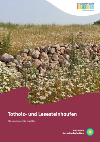 Titelblatt der Broschüre "Totholz- und Lesesteinhaufen. Kleinstrukturen für Insekten"