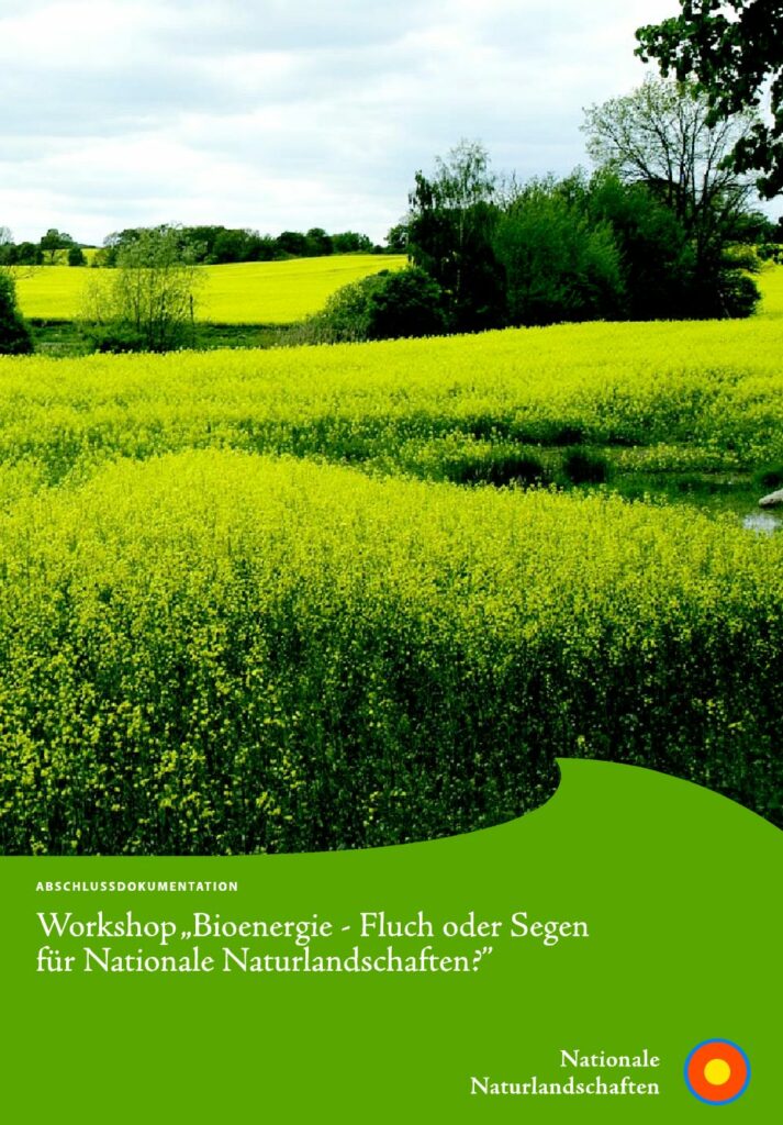 Titelblatt der Workshop-Dokumentation "Bioenergie - Fluch oder Segen für Nationale Naturlandschaften"