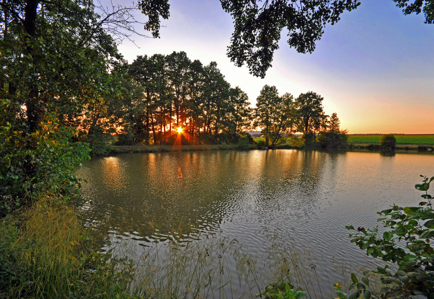 Die Sonne strahlt durch die Bäume der Uferlandschaft am Zitzmannweiher.