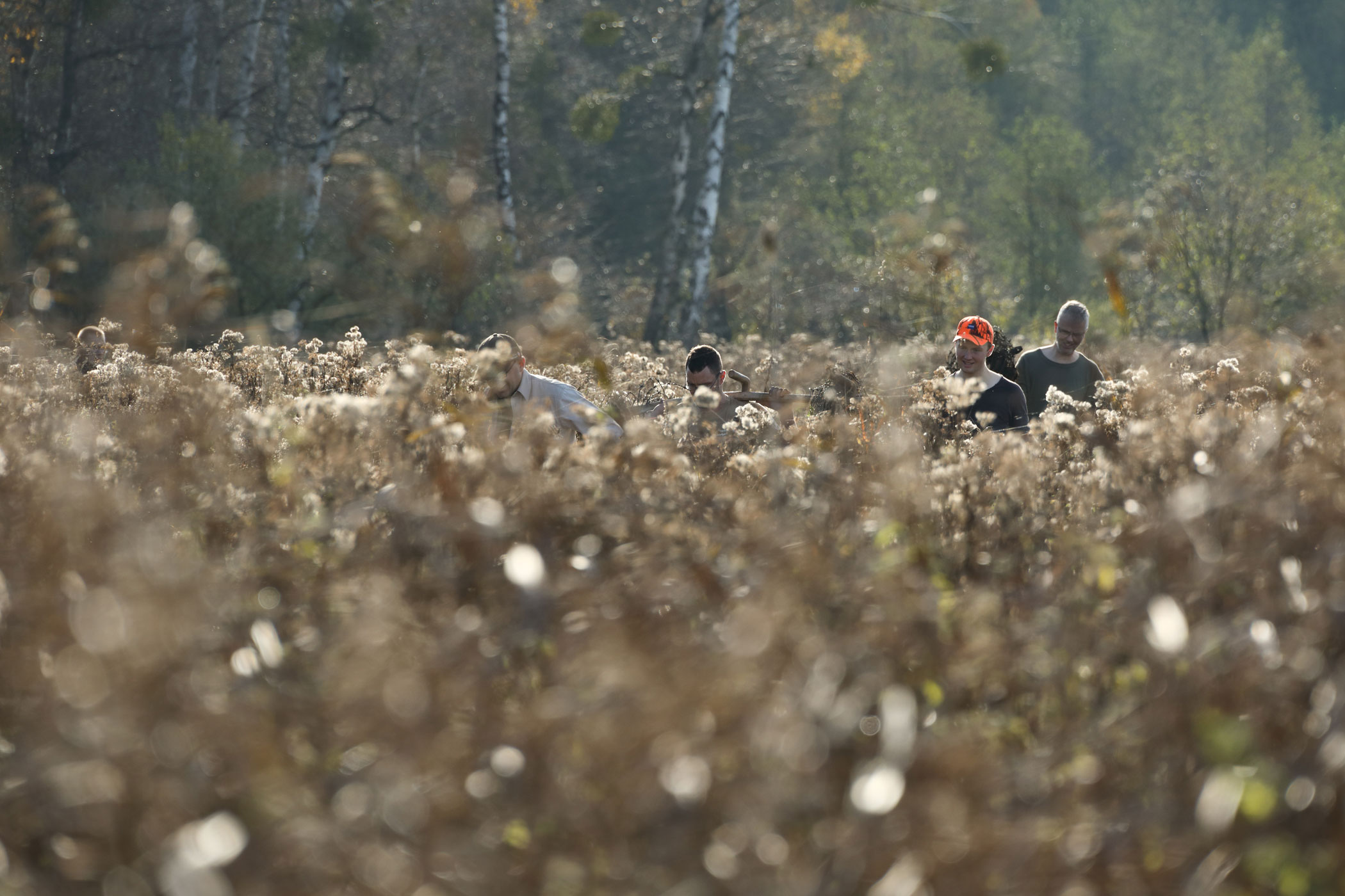 Freiwillige beim Arbeitseinsatz im Müritz-Nationalpark
