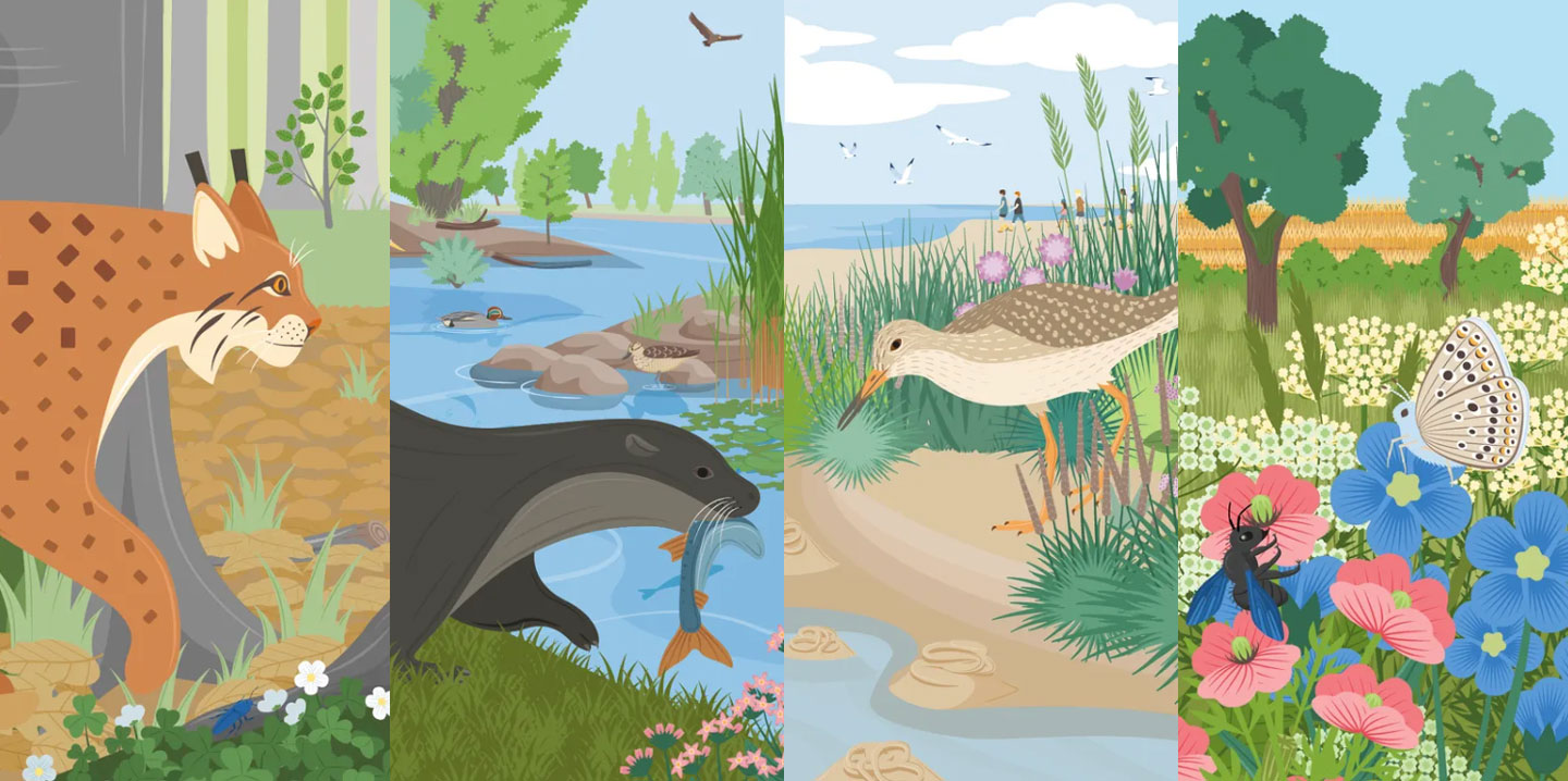 Vier illustrierte Panels zeigen verschiedene Naturlebensräume: ein Luchs im Wald, ein Otter am Gewässer mit Fisch, ein Uferschnepfe an der Küste und ein Schmetterling mit Wildbiene in der Blumenwiese.
