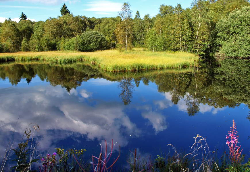 Naturparkplanung als Instrument