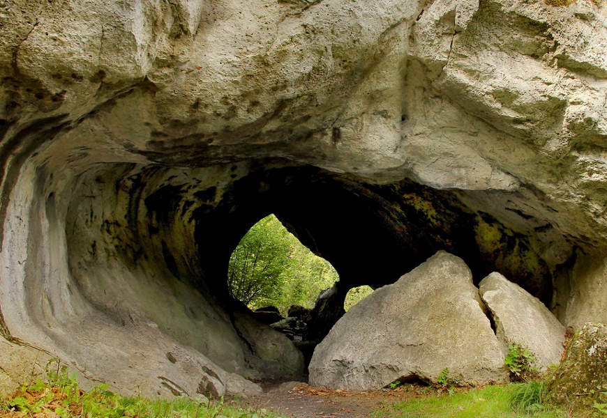Slide image